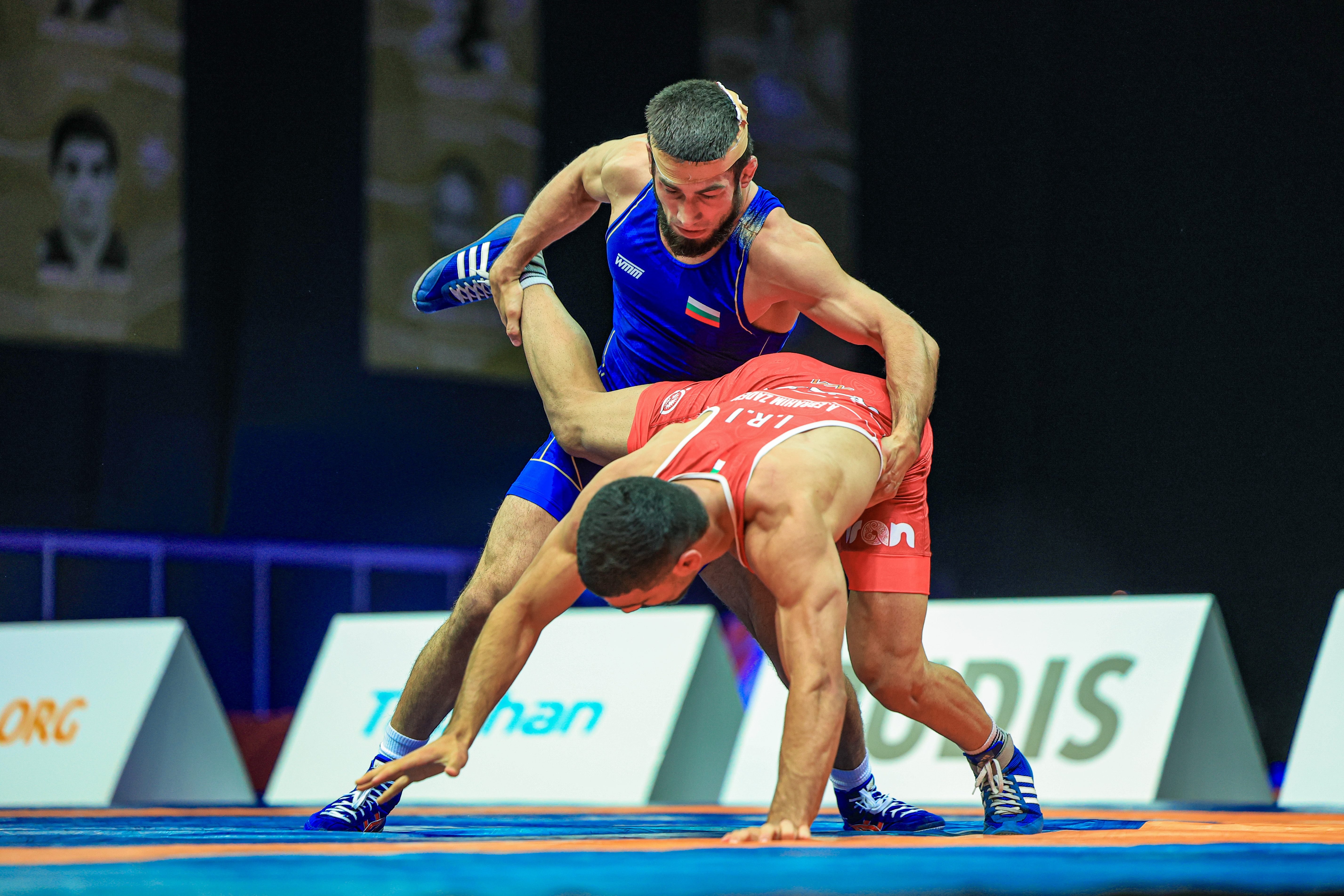 Shamil MAMEDOV (BUL)