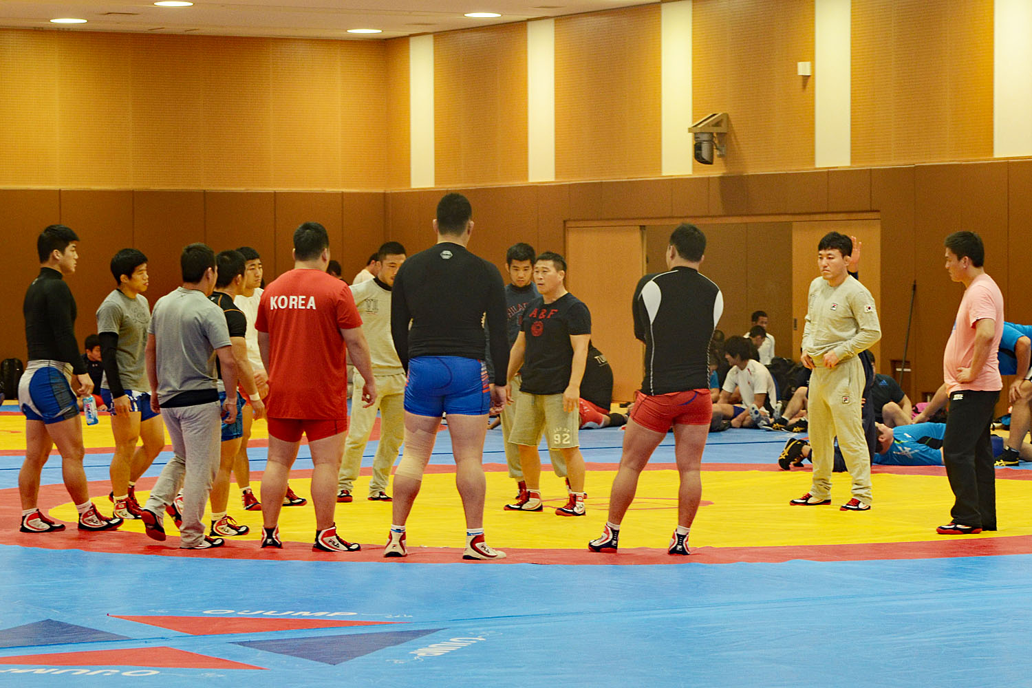 Wrestling Korea