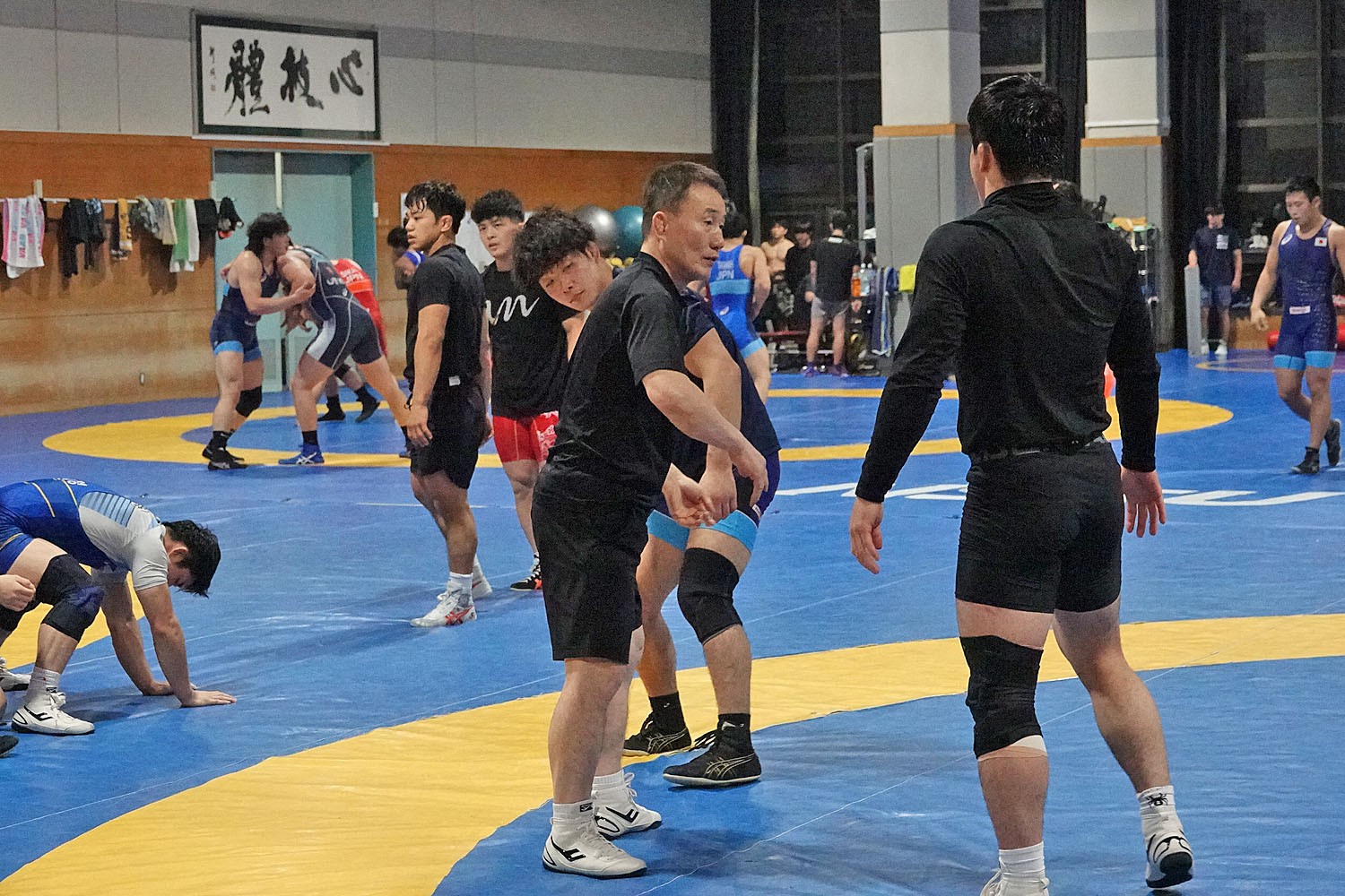 Wrestling Korea