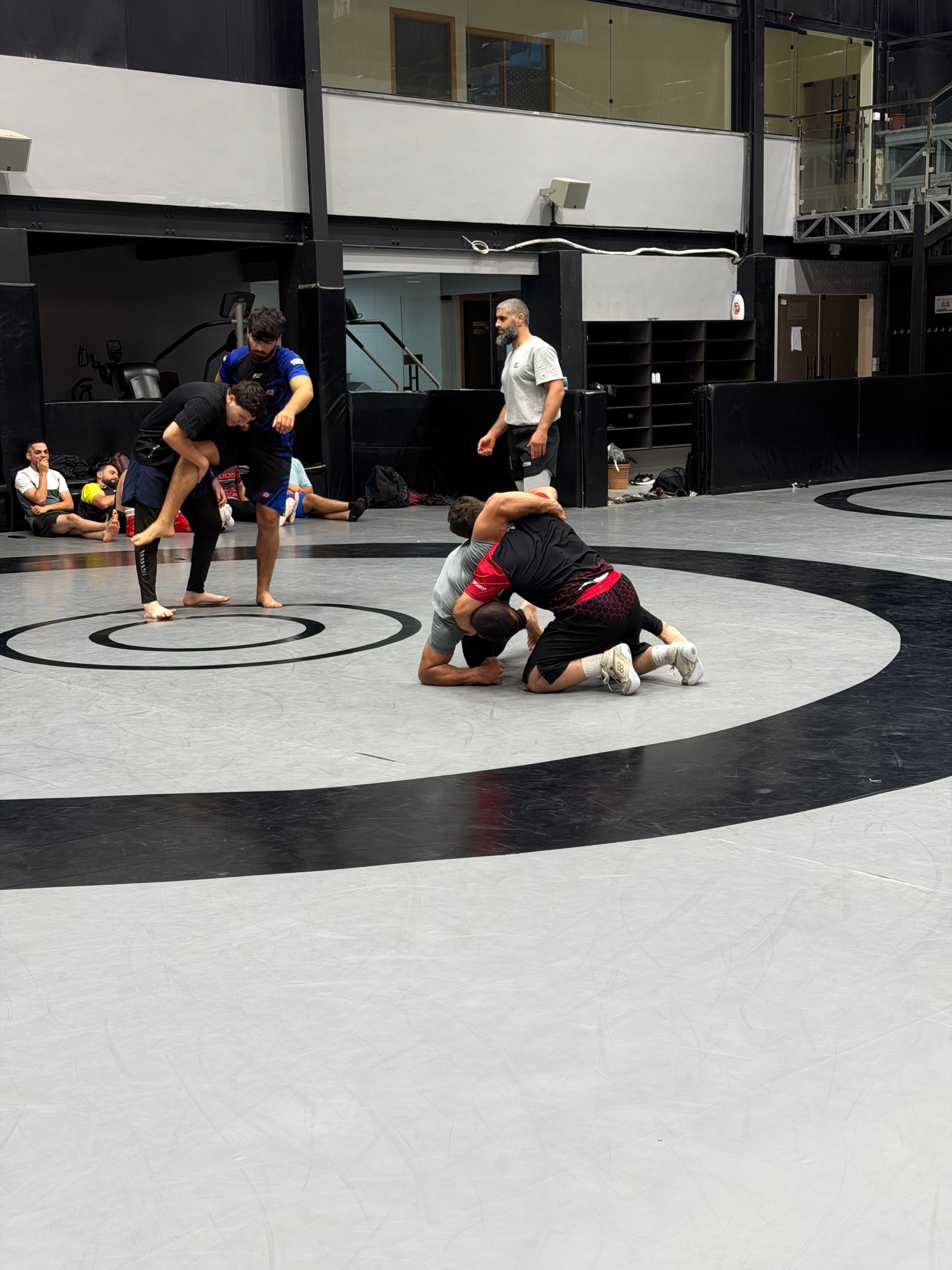 Wrestling Palestine
